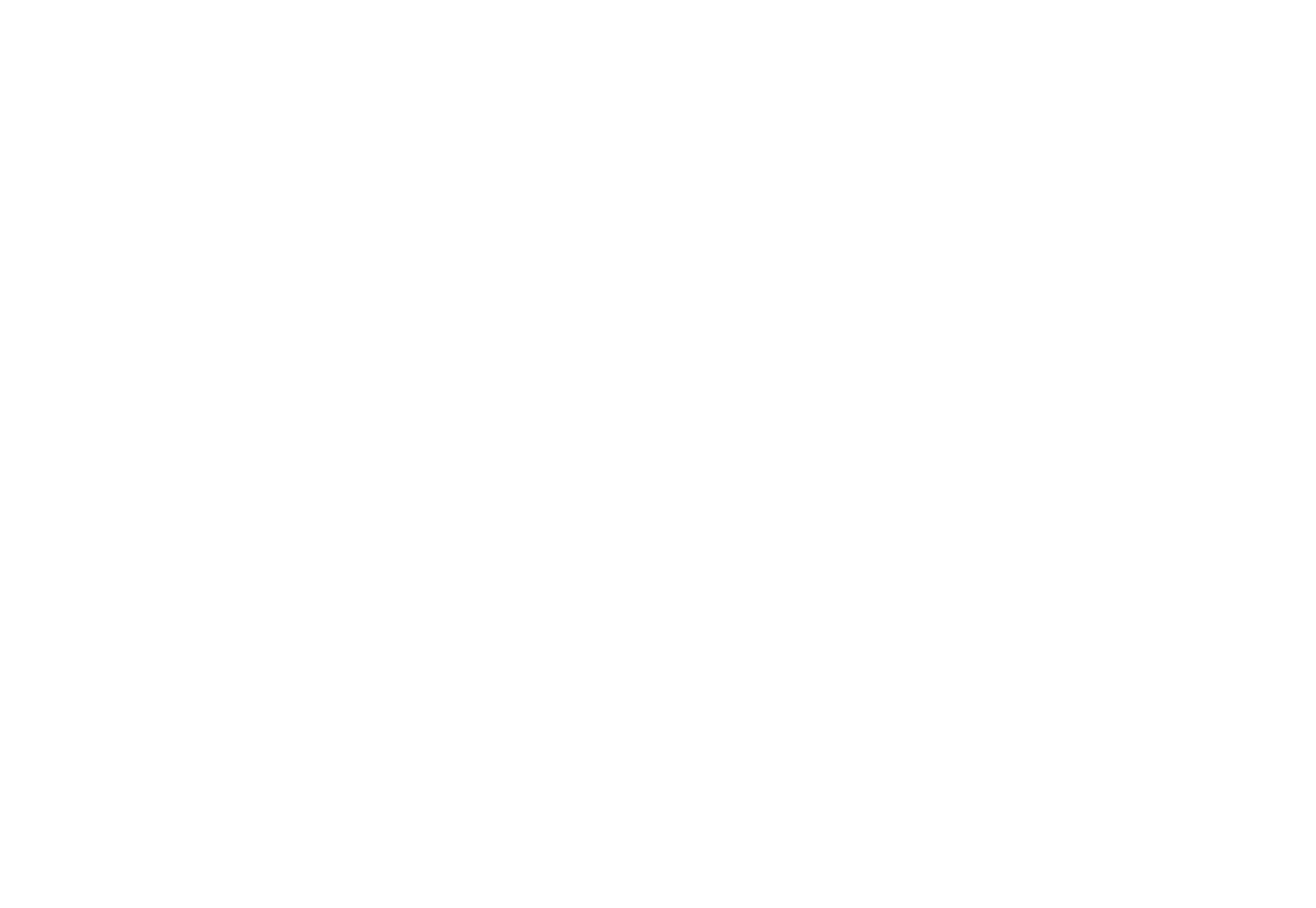 Logo Lider Izolacji